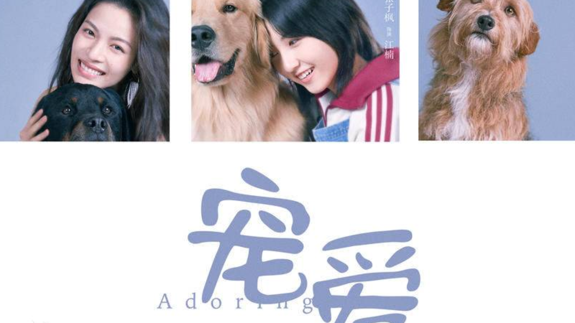 电影《宠爱》究竟值不值得看?